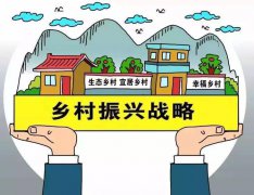 鄉村振興，靠什么來吸引人才？